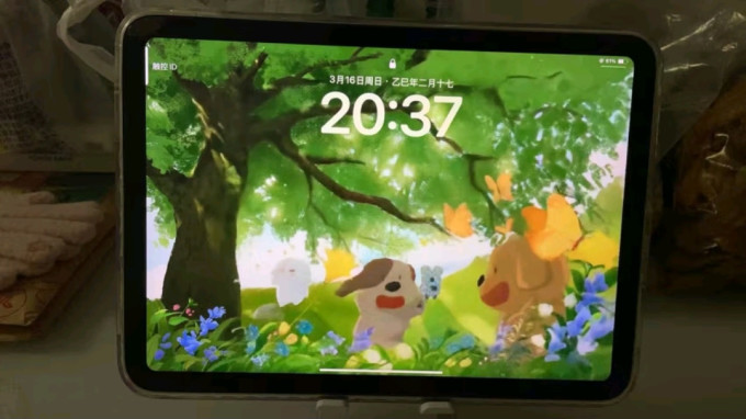 苹果iPad