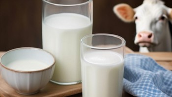 牛奶饮品VS牛奶：一字之差，大不相同