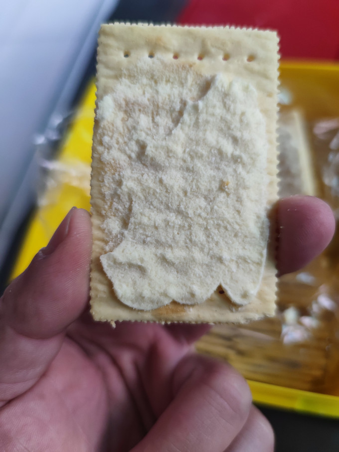 新苗向日葵饼干