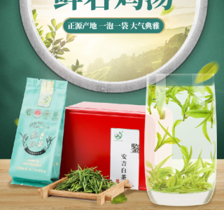 正宗安吉白茶雨前新茶解析