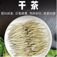 🌼一罐倾心！横县茉莉金针王，浓香四溢的茶中瑰宝