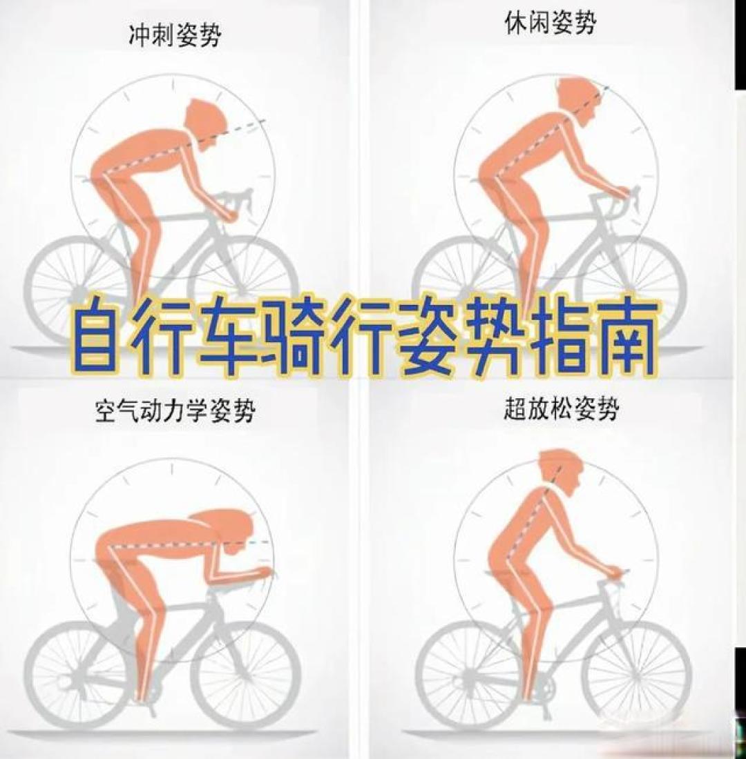 新手必看!公路车入门避坑指南:5个关键点让你骑行更安全高效
