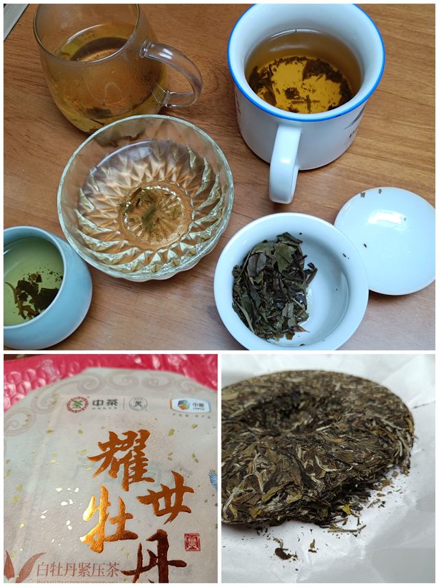 中茶的耀世牡丹白茶饼堪称白茶界的老干部