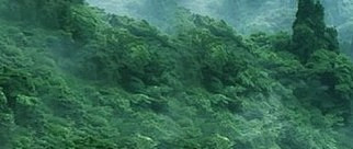 补水有讲究？科学解锁V20植物饮品的好水秘密！