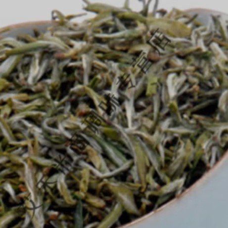 春天到了，绿茶还是春茶好