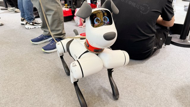 2025AWE关于“狗”的那些事