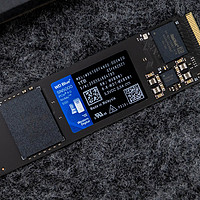 PCIe 4.0 SSD性价比标杆，WD Blue SN5000 1TB SSD全面体验