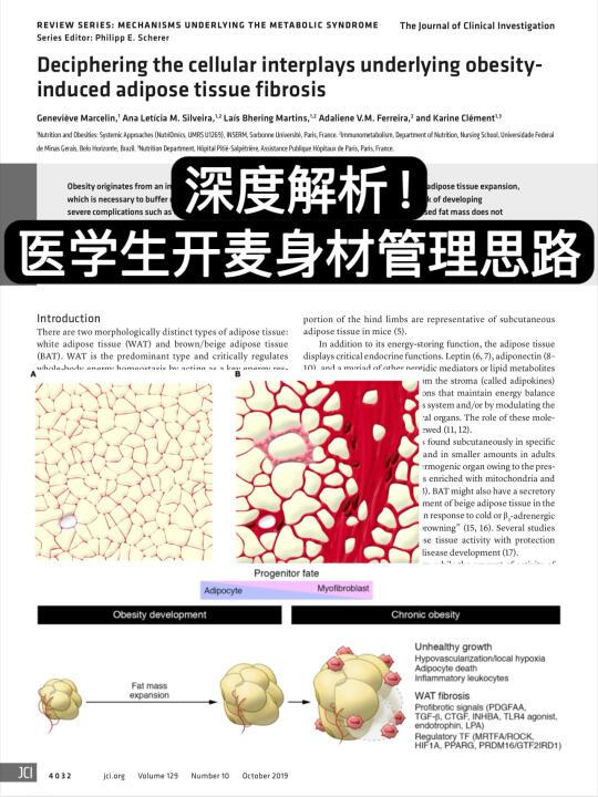 深度解析！医学生开麦身材管理思路