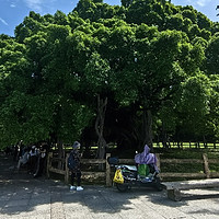 探寻福州的古老韵味-螺洲古镇