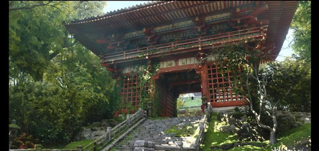 《刺客信条：影》神社补丁风波：文化尊重与游戏自由的冰火碰撞