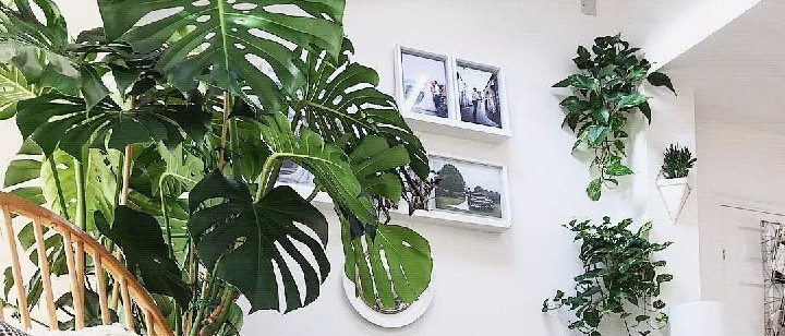 让春风永驻室内，绿植布局巧构思