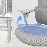 乐歌上新Y11人体工学椅，S仿生椅背、自适应腰靠、高密度海绵、120°后仰