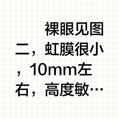 小眼珠婚纱美瞳试戴记录