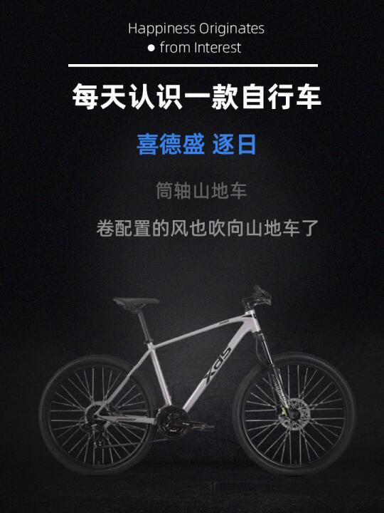 每天认识一款自行车——喜德盛 逐日（25）