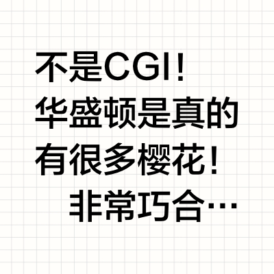 小樱花爆改华盛顿街景🌸美国队长4彩蛋 🚨