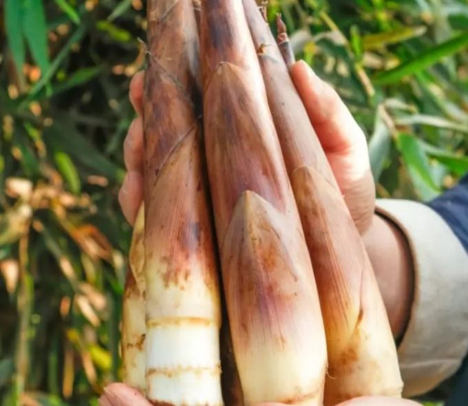 黄六爷蔬菜