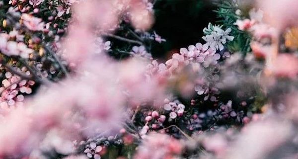 儿童一次性内裤市场观察：全棉无菌材质成旅行新选择