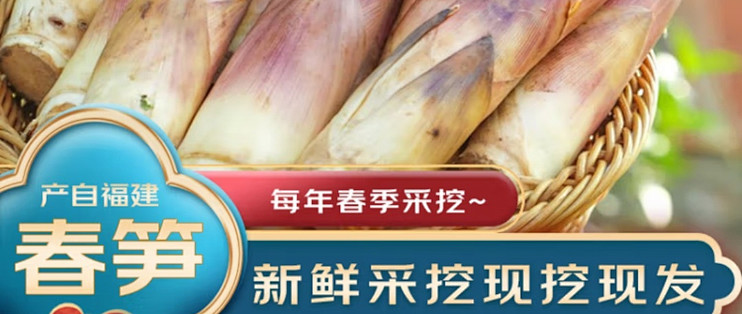 春日尝鲜记——解锁春笋的鲜美秘密，品尝最地道的春季限定美食！