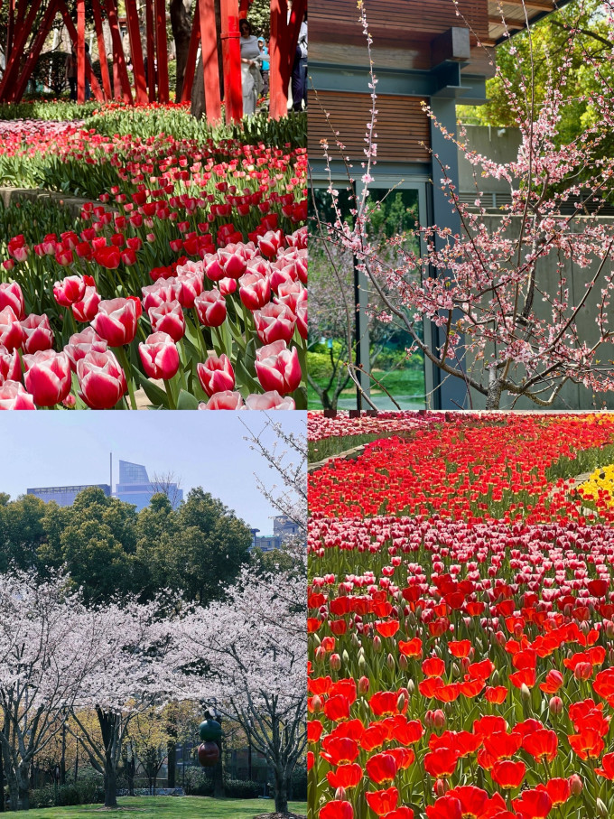 京东鲜花国内自由行