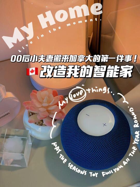 🇨🇦老condo爆改全屋智能🤩