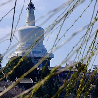 赏花好去处，北海公园桃花季