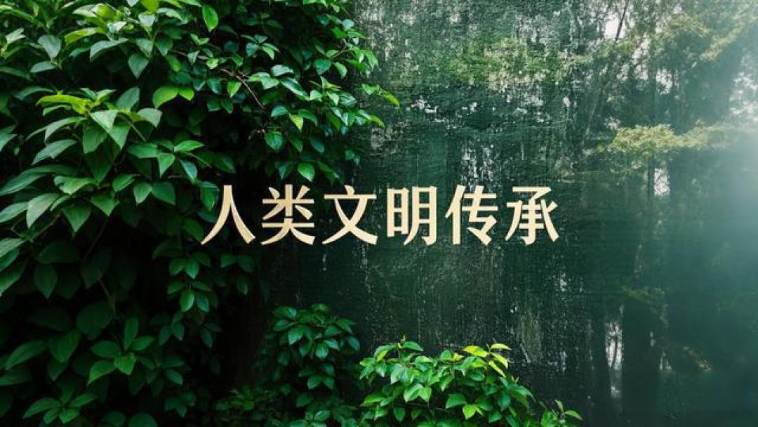 AI抢不走的职业密码:触感、直觉与人性温度构筑的护城河