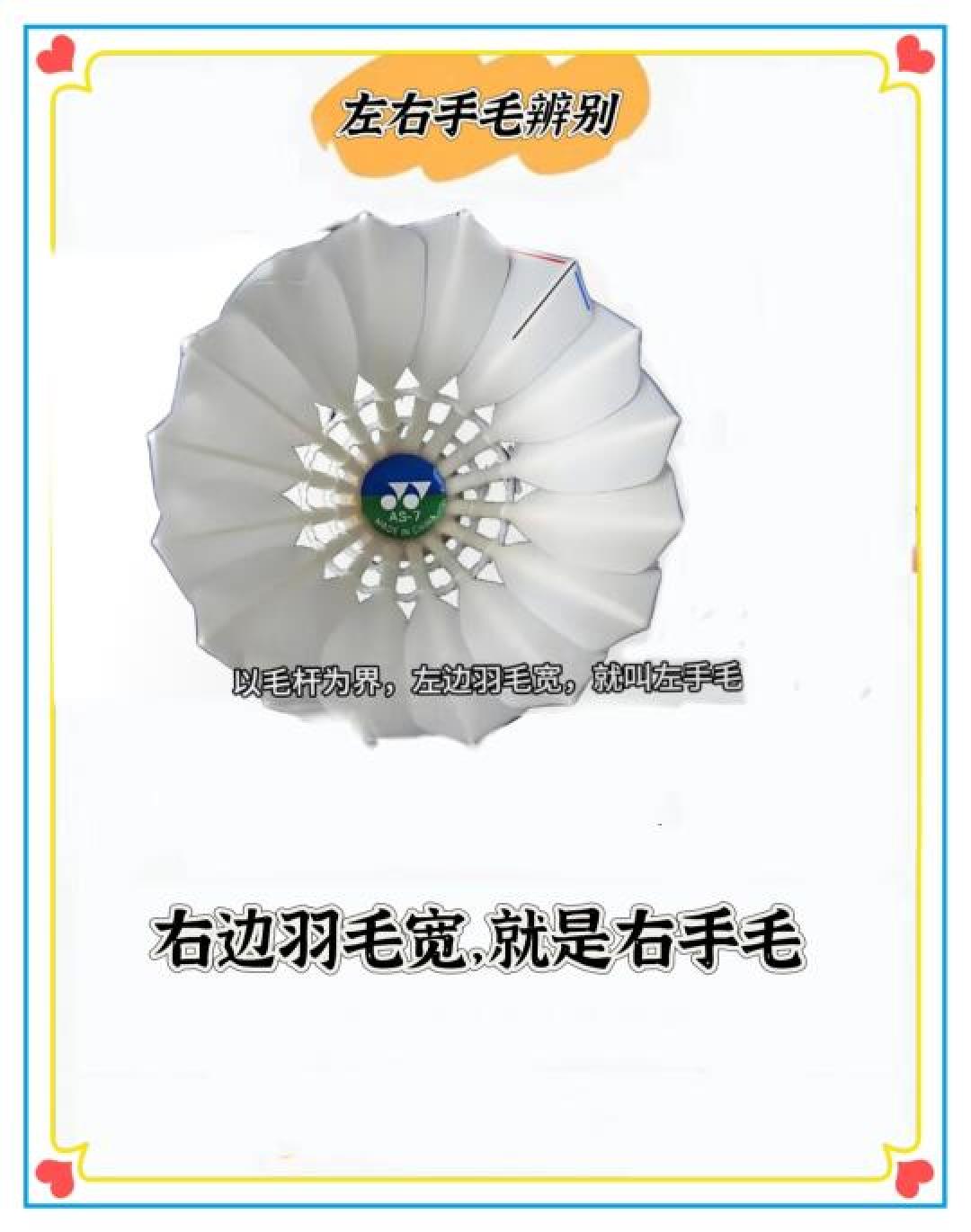 耐打平价羽毛球怎么选?材质、品牌、养护技巧全攻略