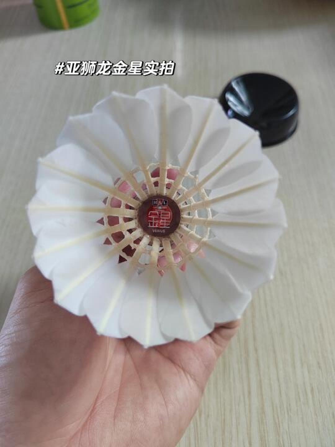 耐打平价羽毛球怎么选?材质、品牌、养护技巧全攻略