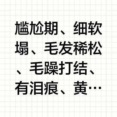 3个月比熊直观感受到狗狗配餐+鱼油的威力