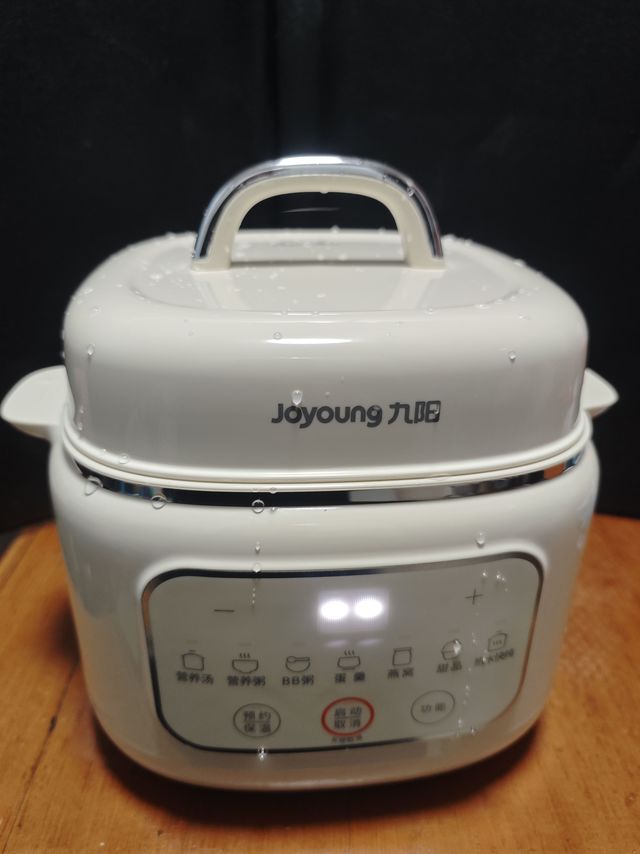 小火慢炖九阳电炖锅1L