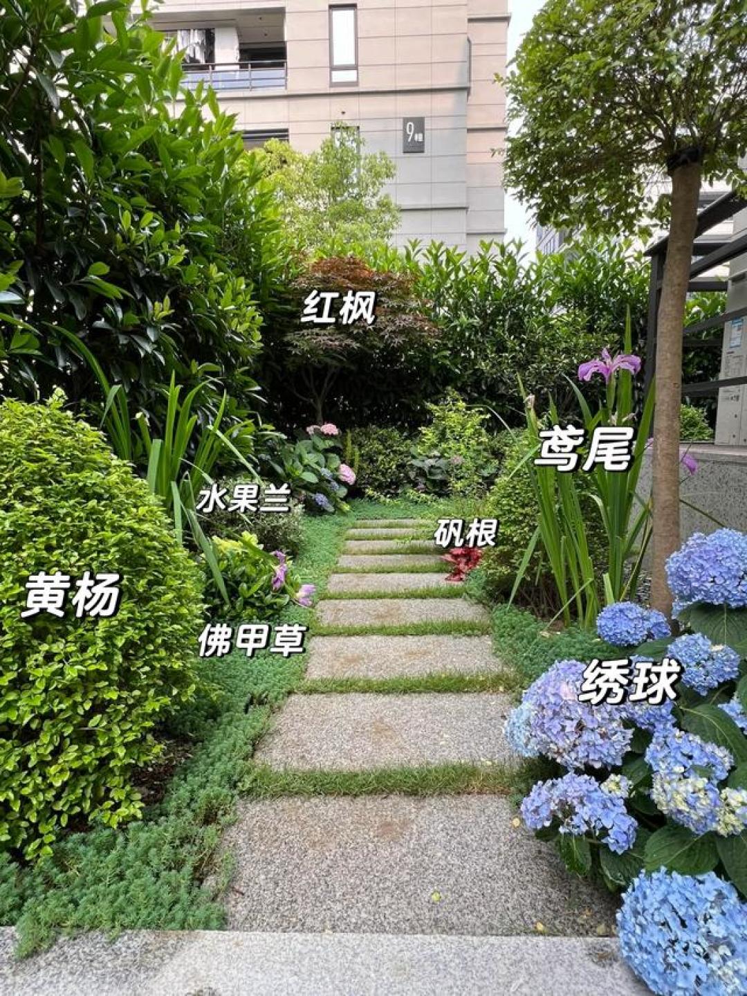 青砖旧瓦焕新颜:手把手教你用5000元爆改出自然光影交织的田园小院