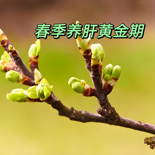春日养肝黄金期，吃对食物就是“神助攻”