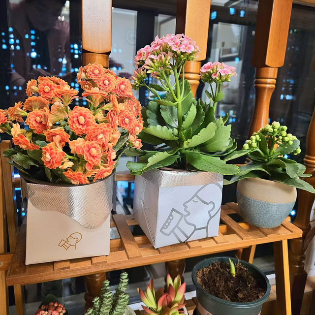 养花小白避雷~花盆应该这么买！