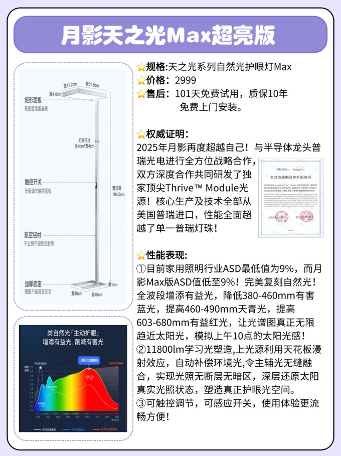月影家居大路灯