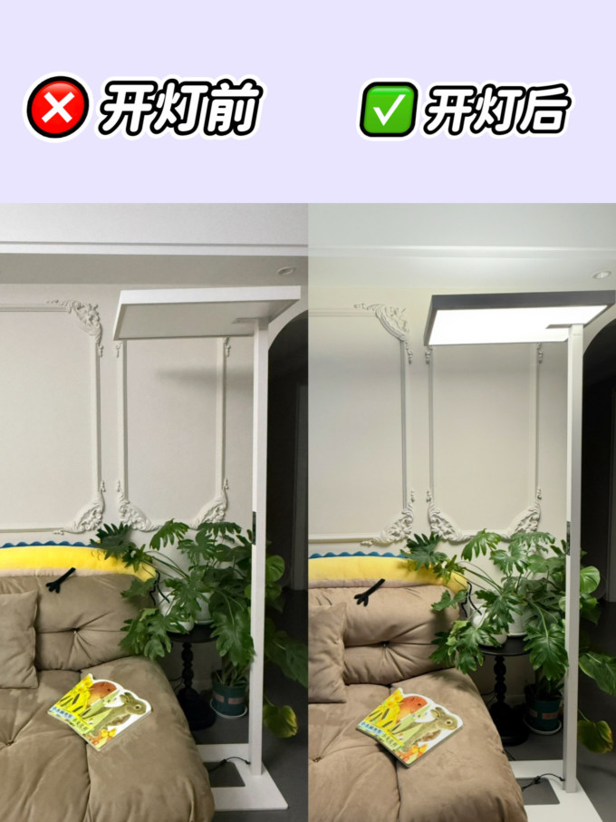 月影家居大路灯