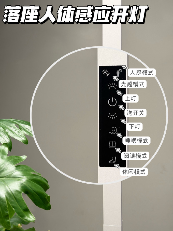 月影家居大路灯