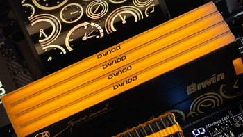 佰维发布 DW100 内存条：192GB（48×4）大容量、支持XMP 3.0