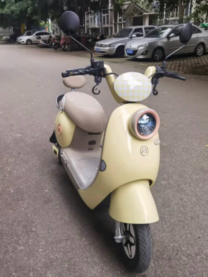 电动车整车