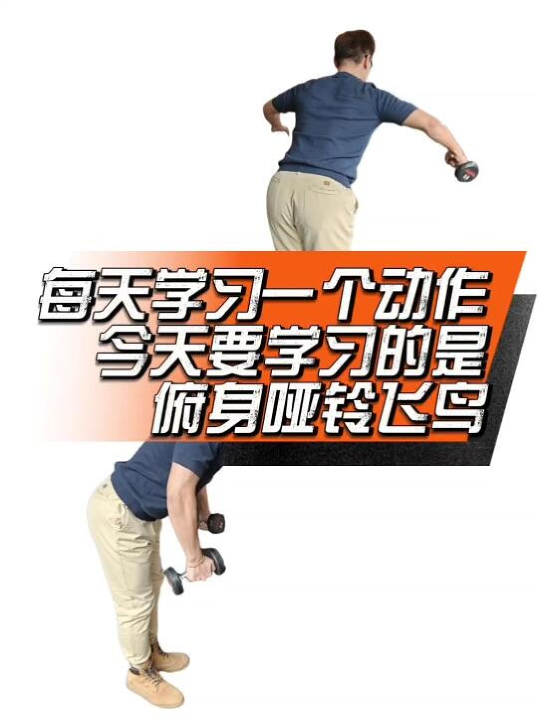 练不出立体肩?5个黄金动作+科学训练法突破瓶颈