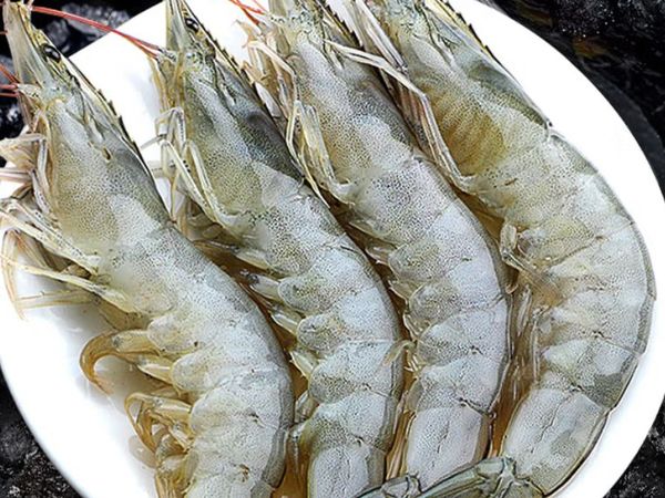 东上御品 国产青岛大虾 特大号白虾 2030规格 净重3斤 盒装活冻