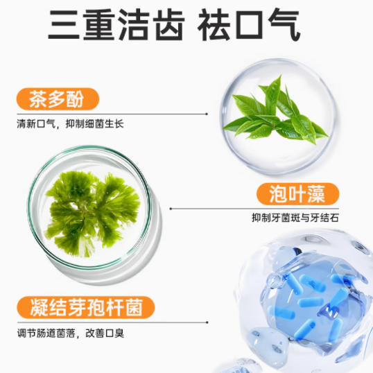 MollyBox 猫咪磨牙棒：美味与健康的双重保障