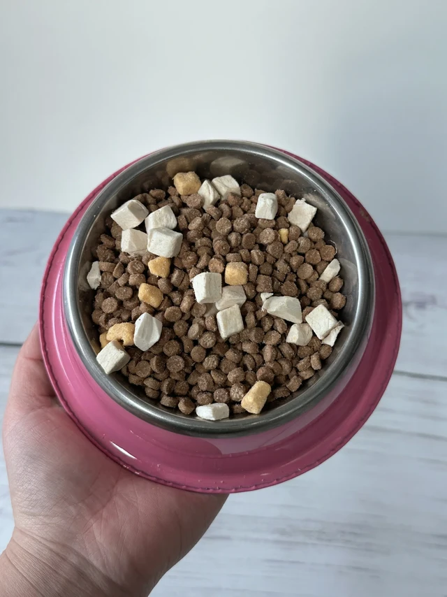 网易兔肉烘焙猫粮是有点儿本事在身上的…