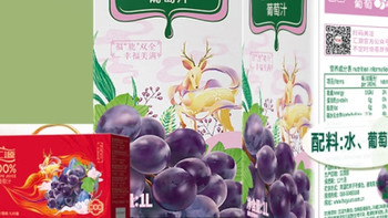 汇源100%葡萄汁礼盒装