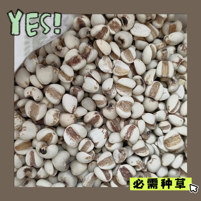 谷物/杂粮/粥米