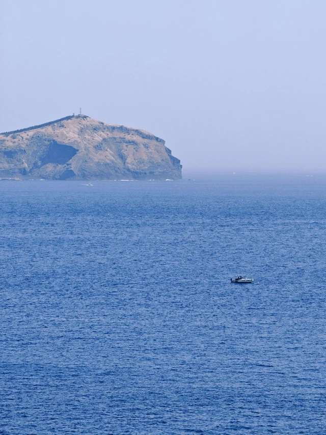 抱着60%的期待来济州🍊🌊收获体验120%