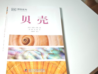 “贝壳迷”闭眼入，好奇党放心冲！