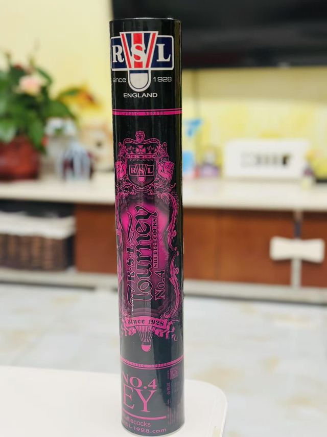 RSL专业比赛鸭毛羽毛球12只