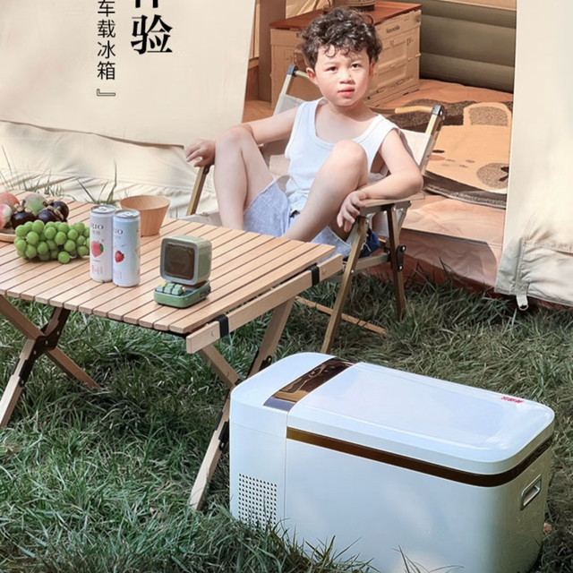 英得尔车载冰箱T20PRO，20L双温双控魔术分区，车家两用全能之选