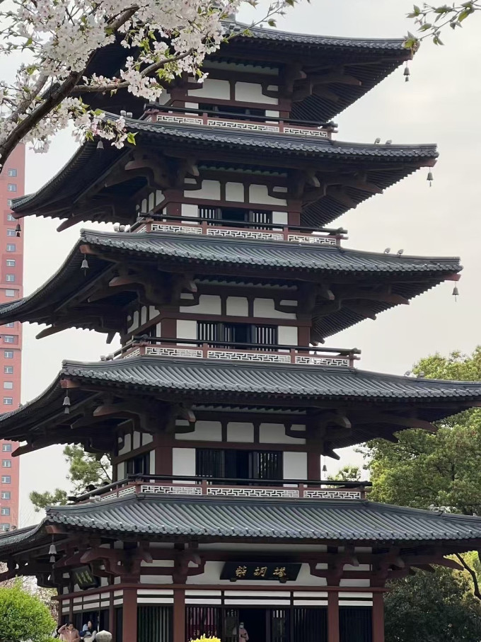 骆驼折叠椅