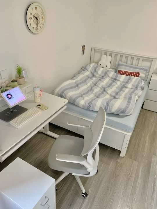 真没必要买很多东西改造出租屋